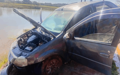 Carro cai em lago após motorista tentar desviar de cachorro