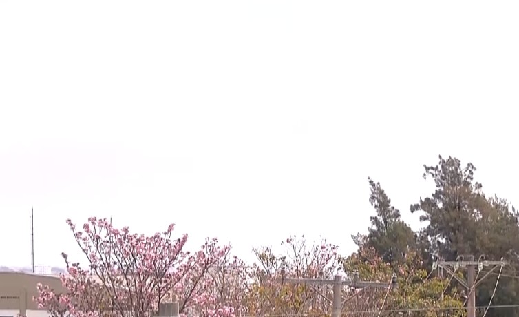 Imagem do c&eacute;u.