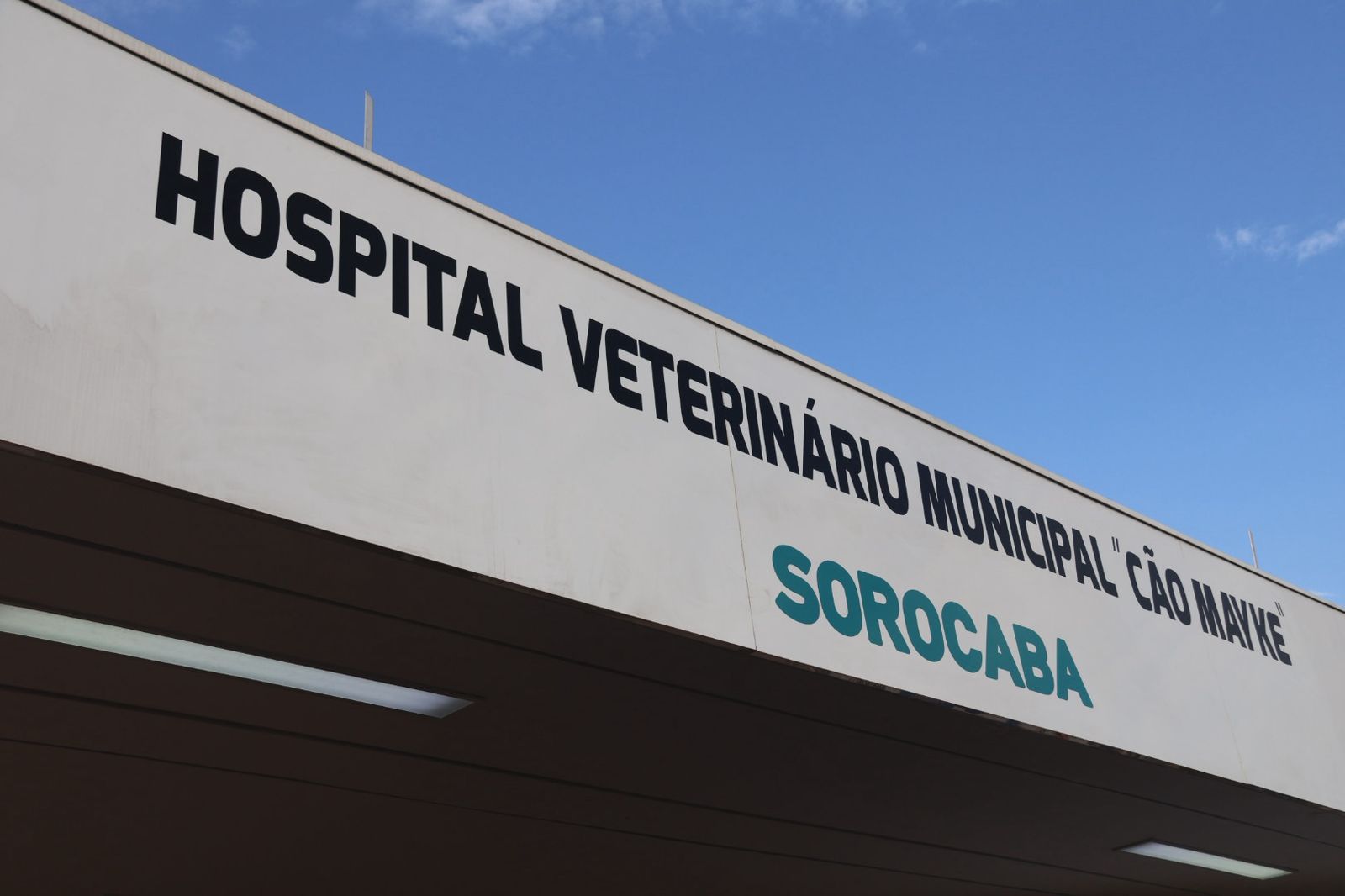 Hospital veterin&aacute;rio municipal