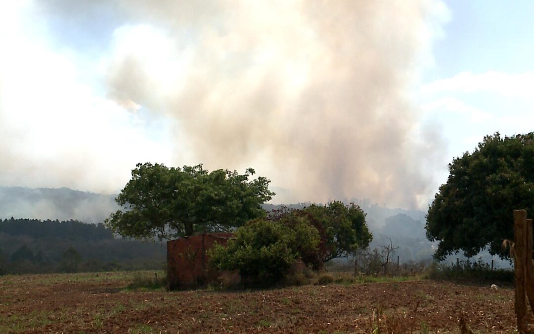 Incêndio consome quase 20% da Floresta Nacional de Ipanema em Araçoiaba da Serra