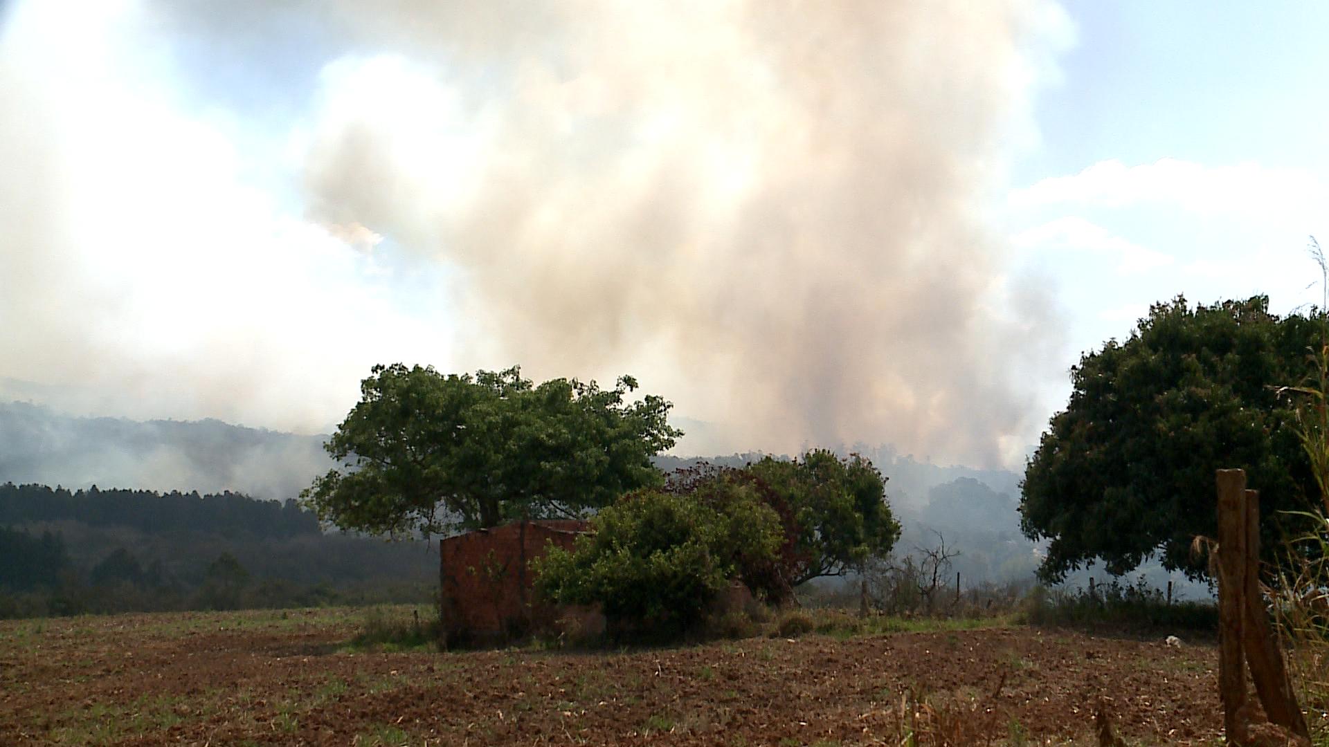 Imagem de parte da floresta com fuma&ccedil;a das queimadas.