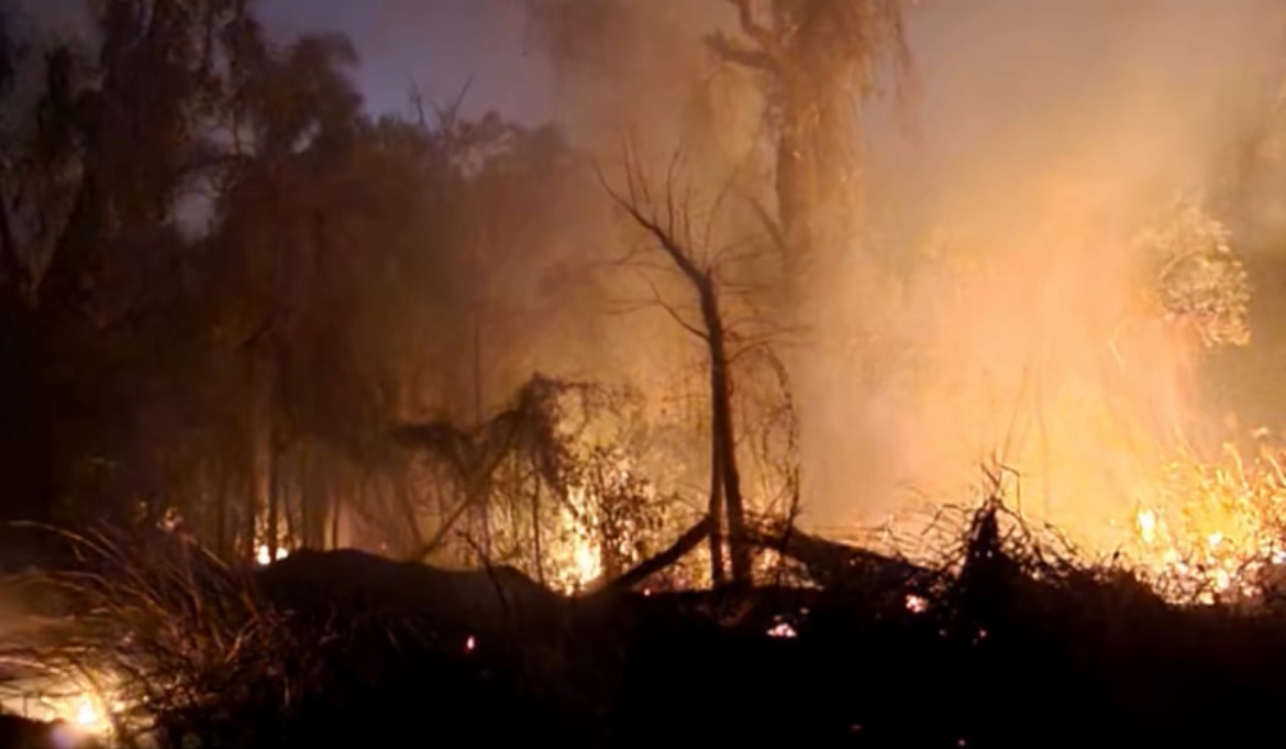 Inc&ecirc;ndio de grandes propor&ccedil;&otilde;es atinge Floresta Nacional de Ipanema
