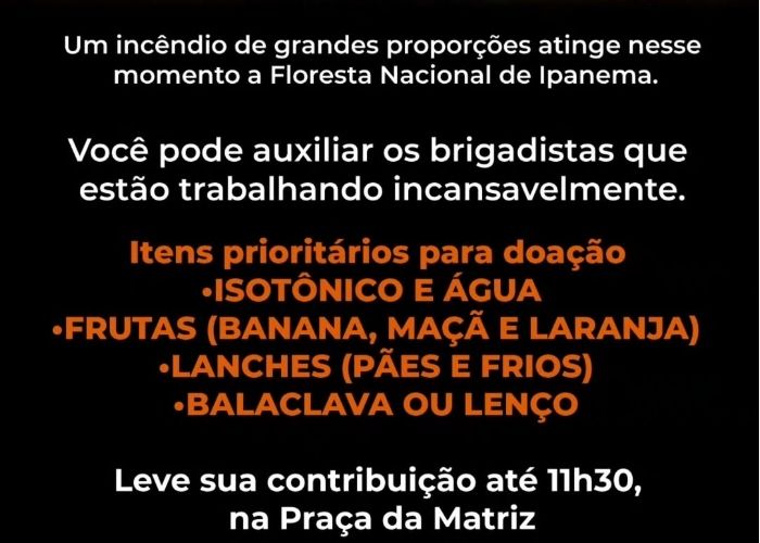 Incêndio na Floresta Nacional de Ipanema mobiliza doações e força-tarefa no combate às chamas