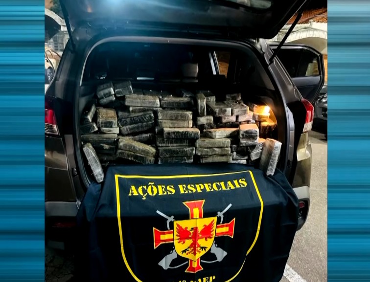 Imagem da coca&iacute;na apreendida.