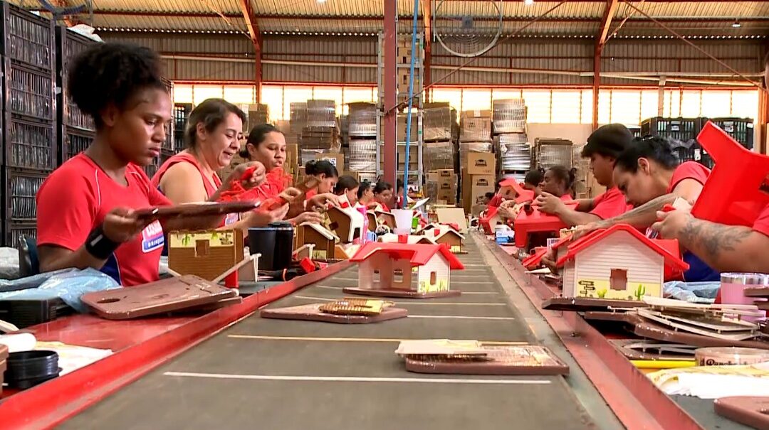 Setor de brinquedos cresce em vendas, mas enfrenta falta de mão de obra em Laranjal Paulista