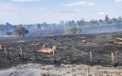 Incêndio de grandes proporções atinge área de 15 hectares em Cerquilho