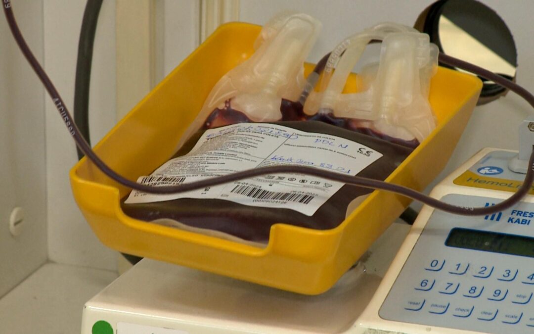 Número de cadastros no REDOME cresce e viabiliza mais transplantes de medula óssea