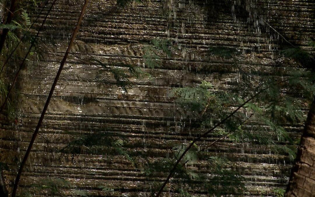 Parque do Varvito em Itu celebra 30 anos com programação especial