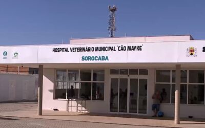 Hospital veterinário de Sorocaba oferece atendimento gratuito para cães e gatos