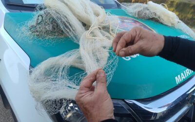 Período de Defeso começa em 1º de novembro e proíbe pesca predatória em Mairinque