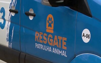 Vereador Fausto Peres cobra fortalecimento da Patrulha e Resgate Animal em Sorocaba