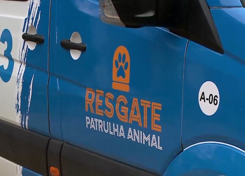 Logo do Resgate Patrulha Animal na van.
