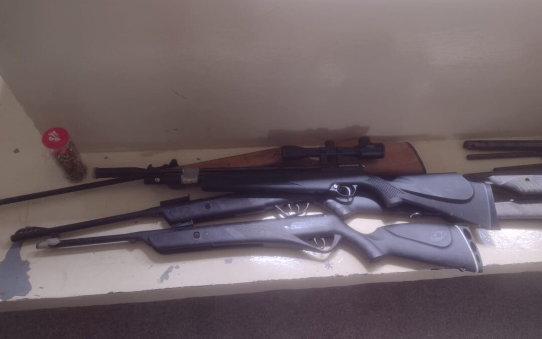 Homem é preso com armas adulteradas e cocaína em Pilar do Sul