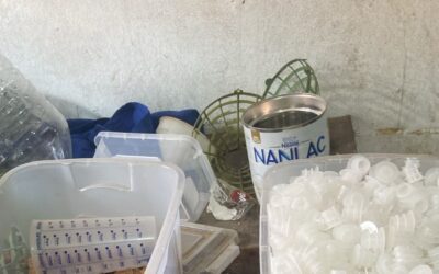 Fábrica clandestina e bebidas irregulares são alvo de ações em Tatuí e Jundiaí