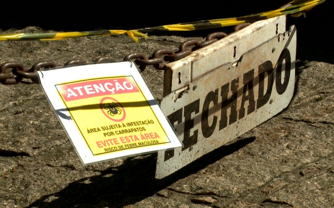 Prefeitura de Salto intensifica ações de prevenção após 4 mortes por febre maculosa
