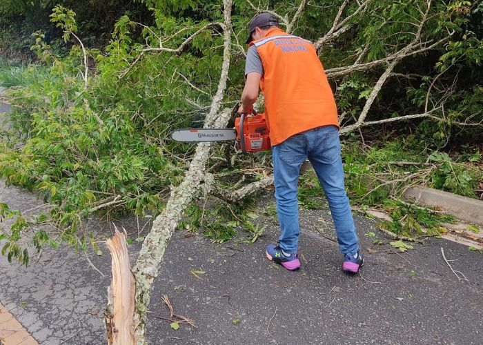 Ventos fortes causam quedas de árvores e danos em São Roque e Iperó