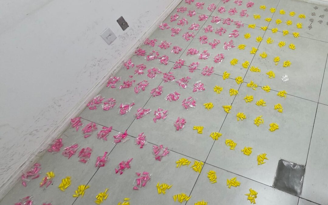 Polícia Militar apreende 6 kg de drogas em operação da Força Tática em Sorocaba