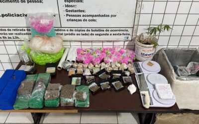 Guarda Civil apreende cerca de 8 kg de drogas em Cesário Lange