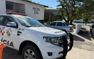 Ataque de abelhas deixa idoso morto e mulher ferida em Salto de Pirapora