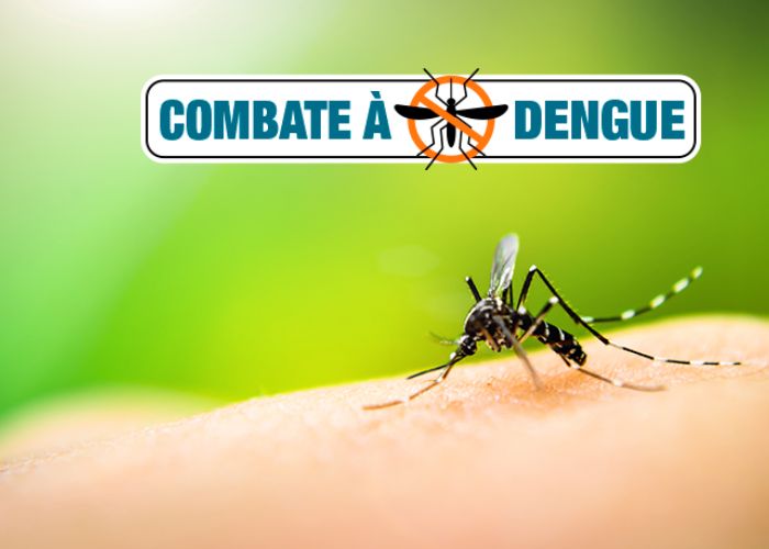 Preven&ccedil;&atilde;o contra a dengue