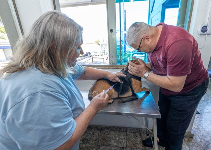 Vacinação Jundiaí