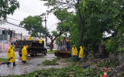 Equipes fazem limpeza das vias em Sorocaba após chuvas