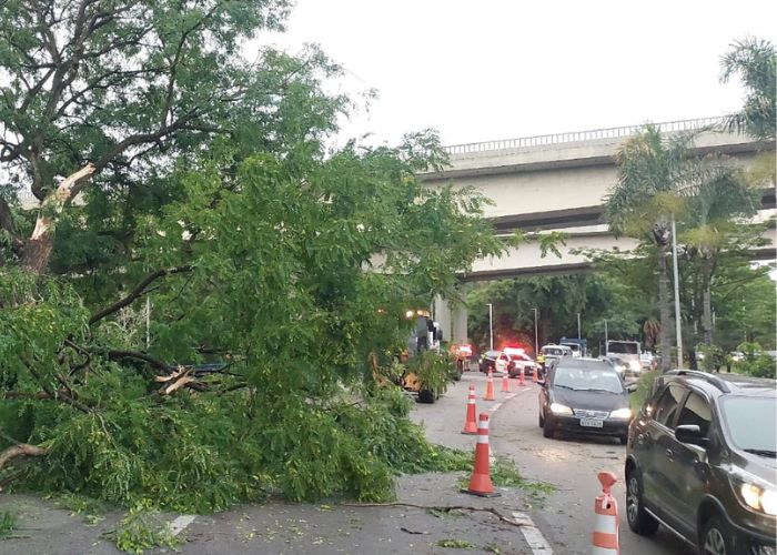 Temporal provoca queda de &aacute;rvores e danos em v&aacute;rios bairros de Sorocaba