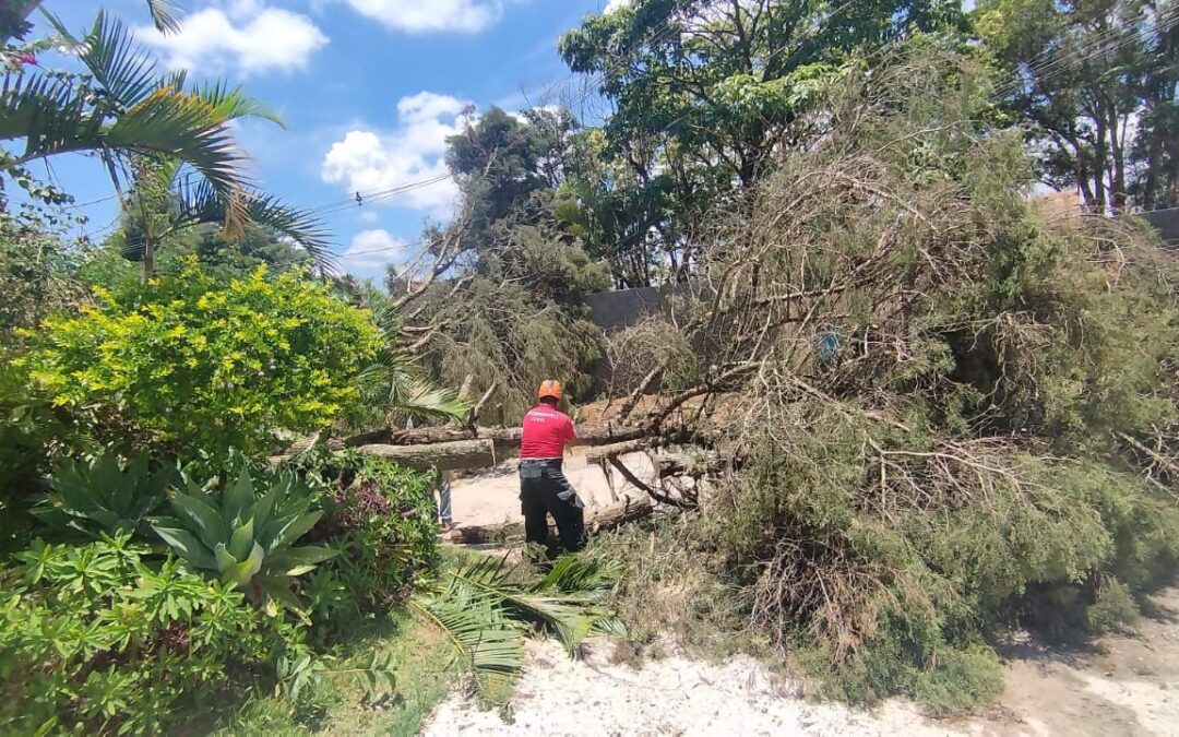 Chuva forte causa estragos na região de Sorocaba