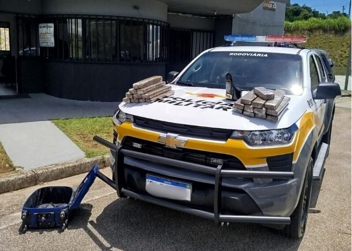 Imagem da maconha apreendida