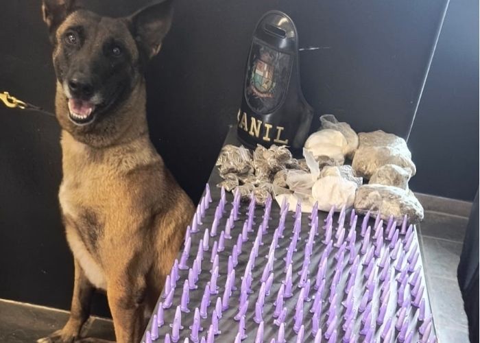 Imagem da apreens&atilde;o de drogas