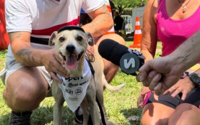 PetSpert reúne 250 cães e anima manhã na Praça da Amizade do CIC