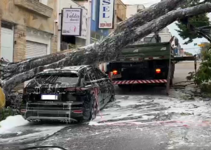 &Aacute;rvore cai sobre carro em Sorocaba