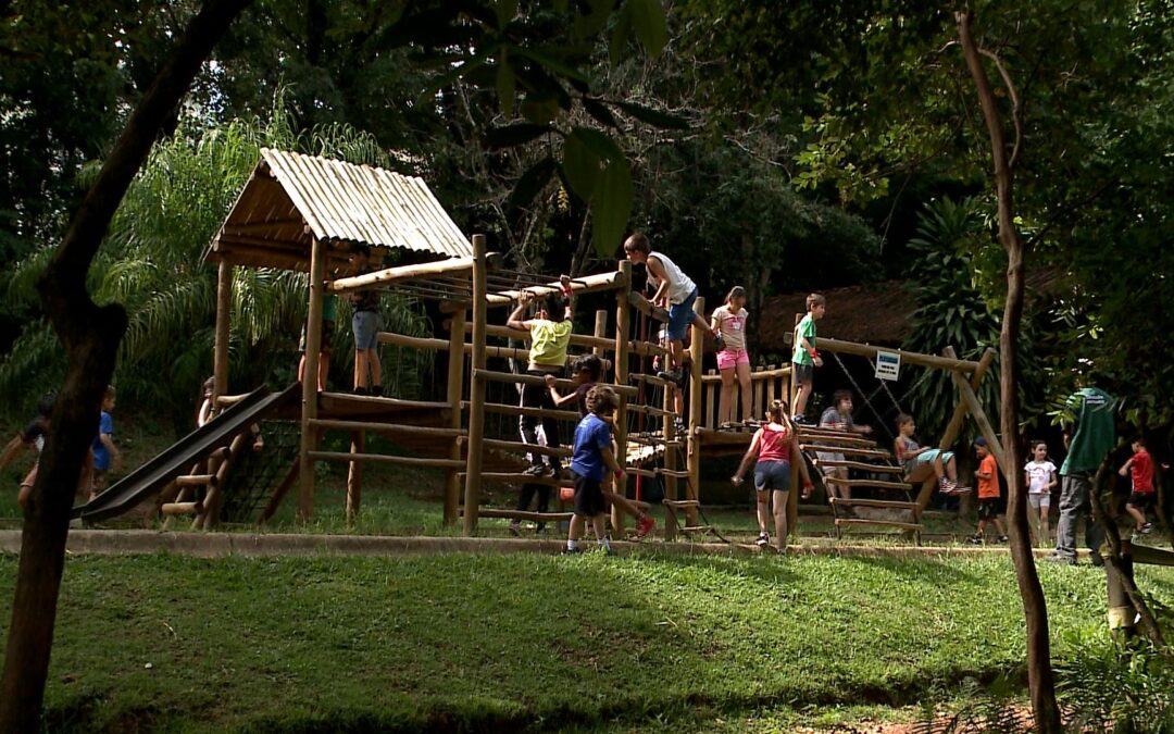 Curso de férias no Parque da Biquinha reúne 40 crianças em atividades ambientais