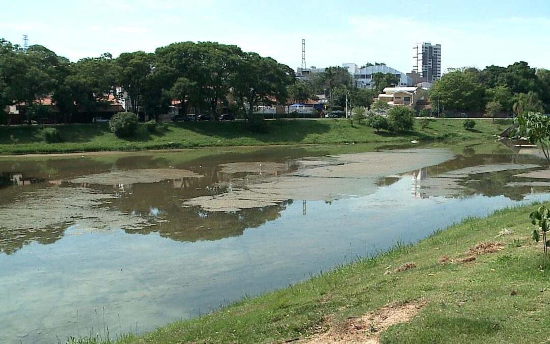 Lago do Parque Dom Quixote em Sorocaba gera reclamações de moradores por mau cheiro