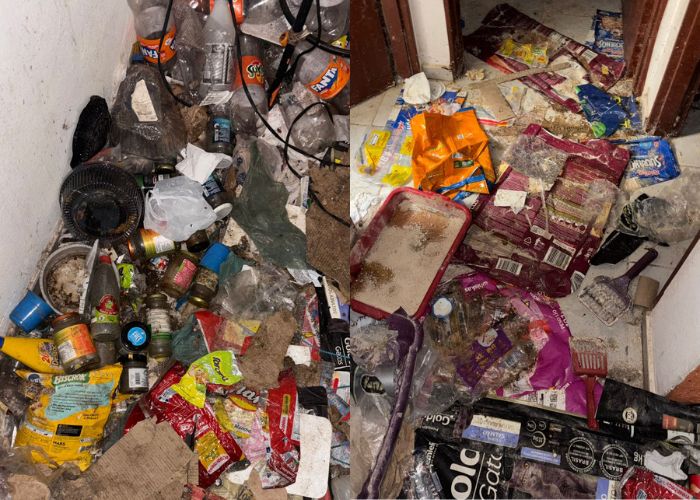 Mulher &eacute; presa e 23 animais resgatados por maus-tratos em Itapetininga