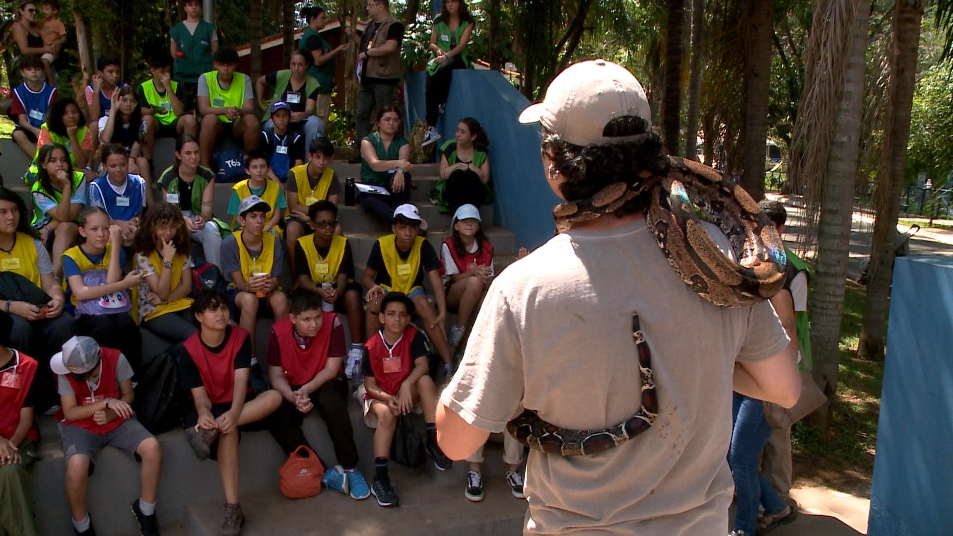 f&eacute;rias no zool&oacute;gico