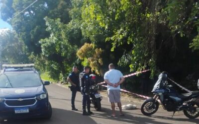 Pitbull morre depois de ser atingido por disparo de arma de fogo em Salto