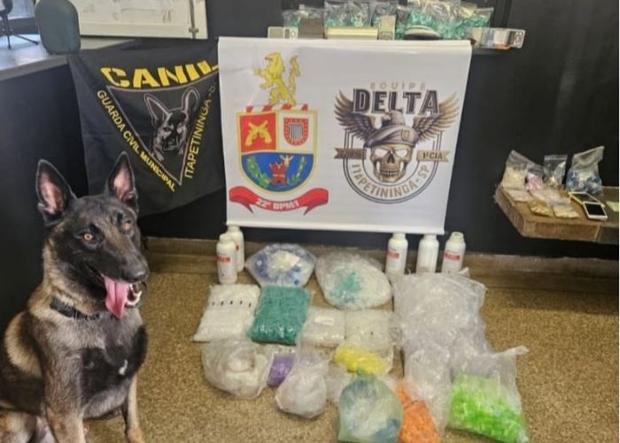 Imagem da apreens&atilde;o