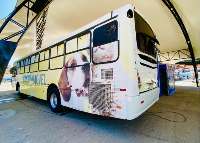Piedade tem vagas para castração gratuita de cães e gatos