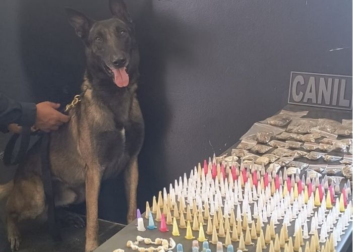 Imagem da apreens&atilde;o de drogas