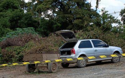 Ataque de abelhas deixa morador ferido e mata cachorra em Salto de Pirapora