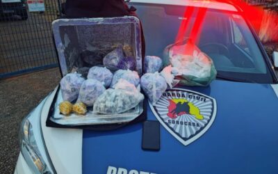 GCM de Sorocaba apreende drogas durante patrulhamento preventivo