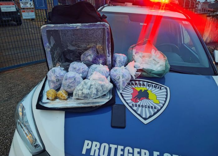 Apreens&atilde;o drogas