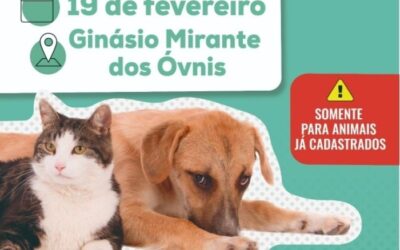 Votorantim realiza mutirão de castração de cães e gatos