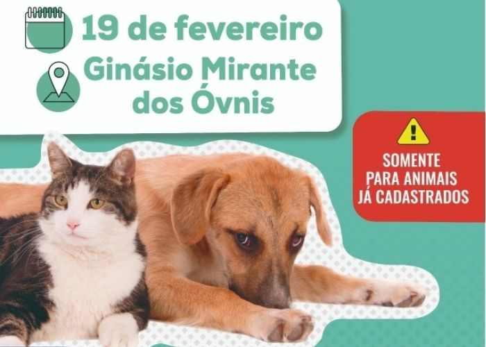 Votorantim realiza mutirão de castração de cães e gatos