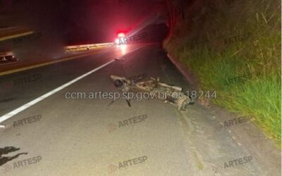 Motociclista morre após acidente em rodovia de Piedade
