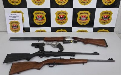 Armas são apreendidas após cumprimento de medida protetiva