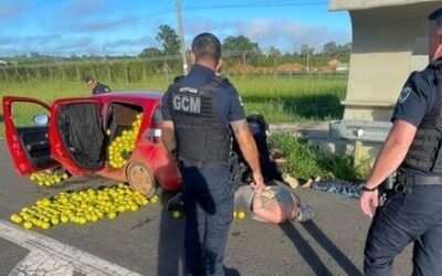 Trio é preso pela GCM de Itapetininga por furto de 550 kg de laranja