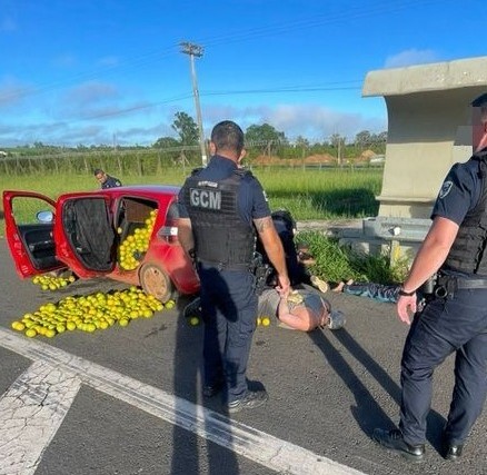 Trio é preso pela GCM de Itapetininga por furto de 550 kg de laranja