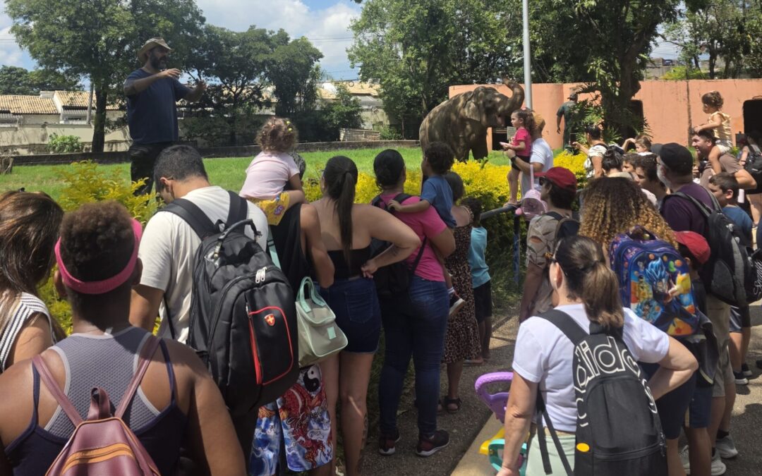 Zoo de Sorocaba promove encontro com serpentes, elefante e hipopótamos em atividade educativa